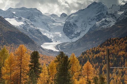 Blick auf den Morteratschgletscher in der Schweiz