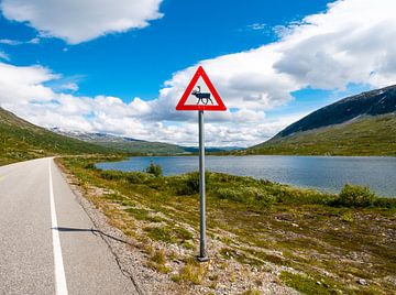 Watch out for crossing moose by Charlotte Dirkse