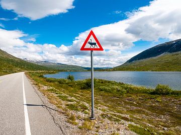 Watch out for crossing moose by Charlotte Dirkse