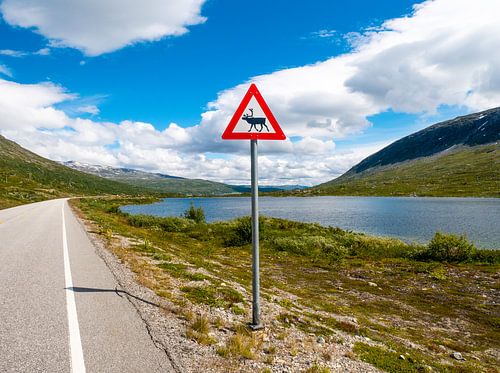 Watch out for crossing moose