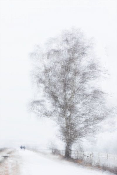 Winter van Ingrid Van Damme fotografie