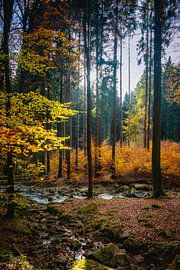 Hatz Ilsenburg autumn by Tim Lee Williams