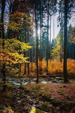 Hatz Ilsenburg autumn von Tim Lee Williams