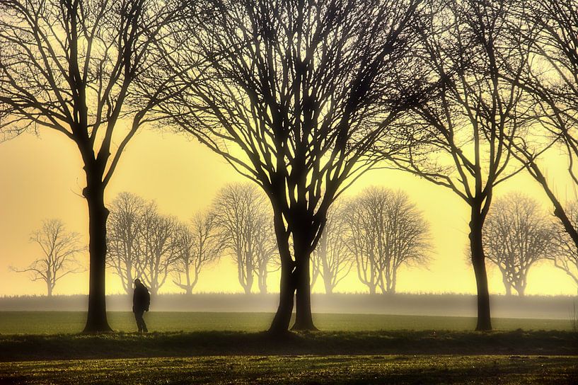 Ochtend wandeling in de mist van Edgar Schermaul