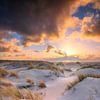 L'heure d'or à Texel. sur Photographie de Justin Sinner (Photographe à Texel)