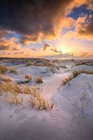 Goldene Stunde auf Texel.
