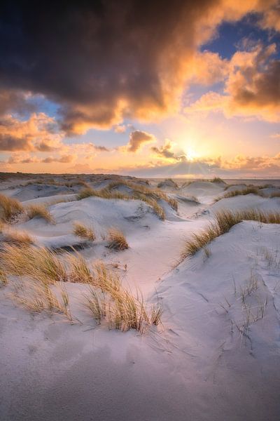 Golden hour on Texel. by Justin Sinner Photography (Photographer on Texel)