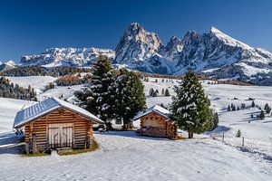 Herbstwinter auf der Seiser Alm in den Dolomiten