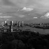 Skyline Rotterdam van Wytze Plantenga