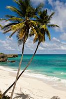 Caribisch strand