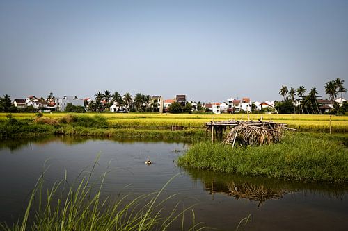 Nature and agriculture in a peaceful setting