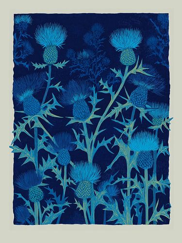 Les chardons chuchotent dans la lumière bleue de la nuit