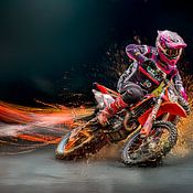 Rien Den otter Profile picture