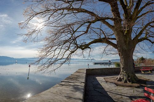 Bodensee, Lindau-Insel, Bayern - Bavaria, Duitsland