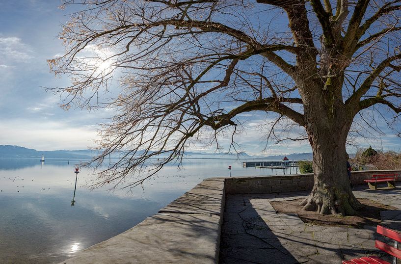 Lake Constance, Lindau-Insel, Bavaria, Germany by Rene van der Meer