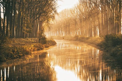 Zonsopgang  tijdens een mistige herfstochtend