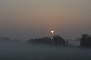 Nebliger Sonnenaufgang in der Rivierenland-Betuwe