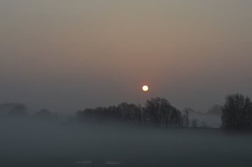 Lever de soleil brumeux dans le Rivierenland Betuwe
