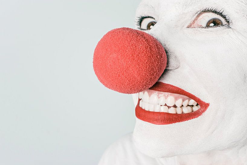 Verleiden dikte Schande Clown met rode neus van Atelier Liesjes op canvas, behang en meer