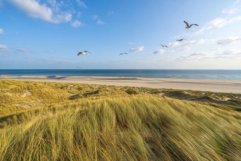 Freedom Over the Dunes by Dennis Kuzee