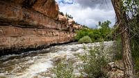 Tensleep Creek in het Bighorn National Forest