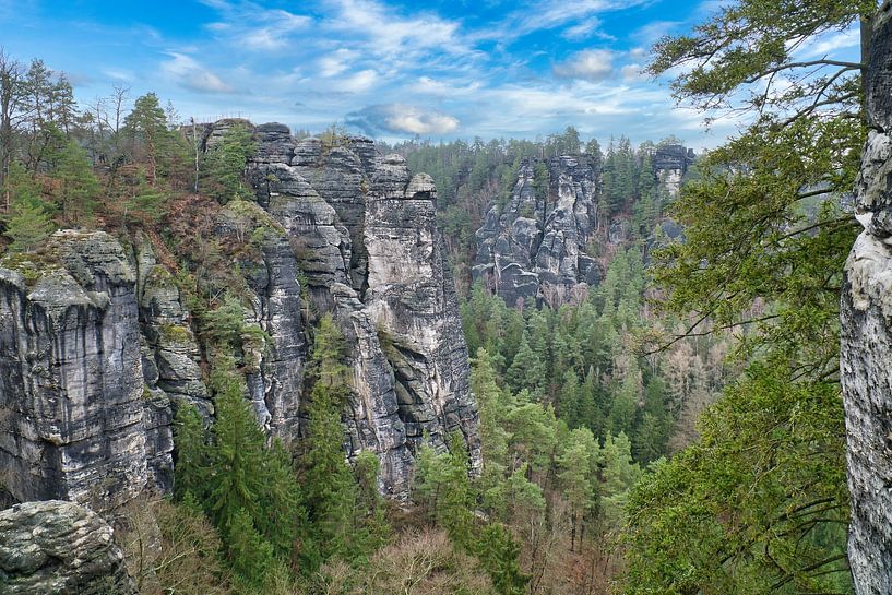 Rocher dans le massif de l'Elbsandstein à Bastei par Martin Köbsch