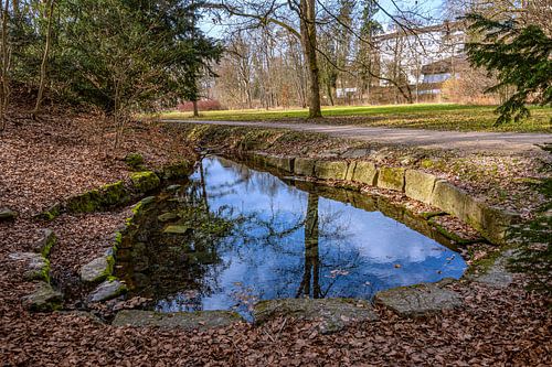 Reflets dans le parc du château