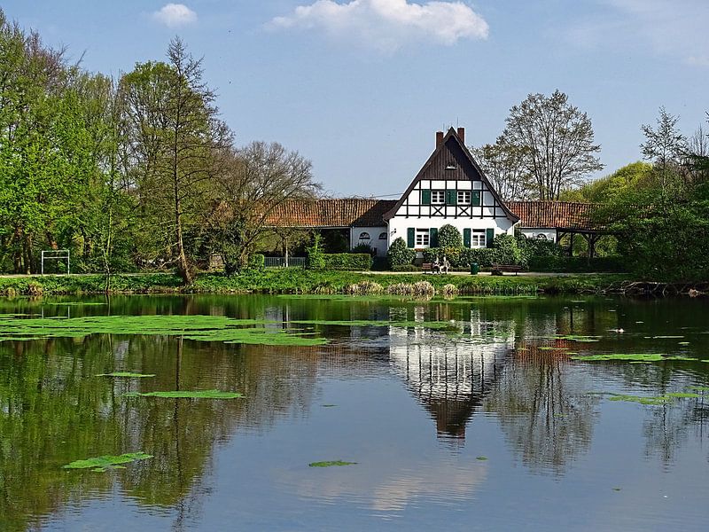 Stadtwald 9 par Edgar Schermaul