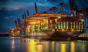 Repos nocturne sur le Burchardkai - dans la lumière du silence du port
