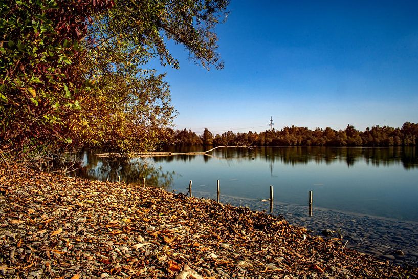 Baden-Württemberg : Der Natursee von Photoart-Naegele