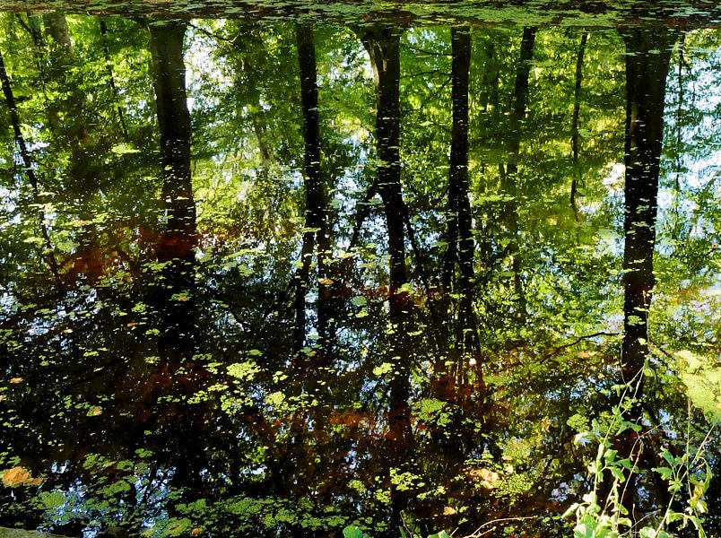 Water reflectie van Carla van Zomeren