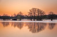 Weerspiegeling