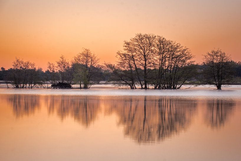 Weerspiegeling van Ron Hermans