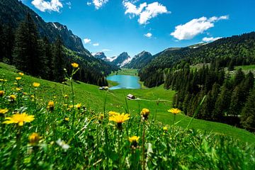 frühlingshafter Blick auf den Sämtisersee und die Appenzeller Alpen von Leo Schindzielorz