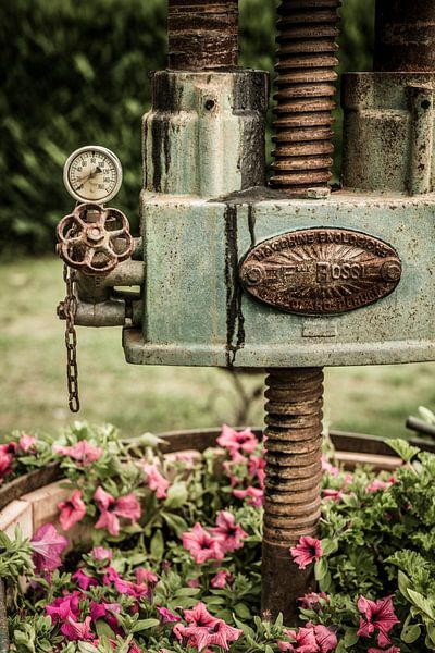 Olive press by Denis Feiner