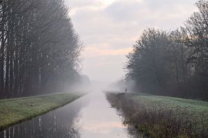 die Schleuder