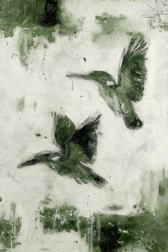 Eisvögel im Flug | Grün