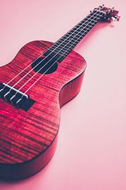 Pink ukulele by C. Nass