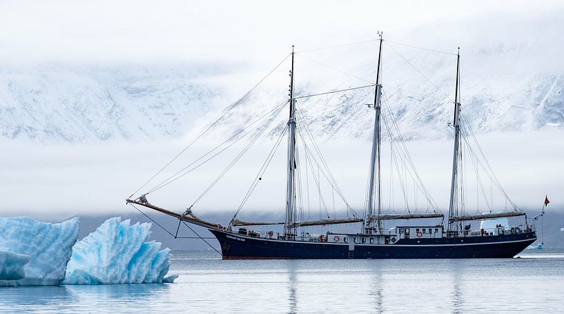 Arctic Explorers 2 van Rudy De Maeyer