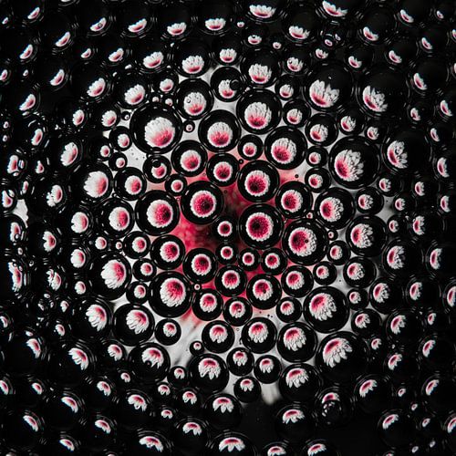 Roze bloem ( Gerbera ) in losse druppels (vierkant)