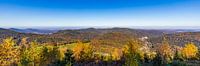 Panorama Westweg bei der Schweizerkopf-Hütte im Schwarzwald