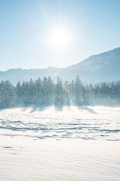 Winteruitzicht op de Allgäuer Alpen van Leo Schindzielorz