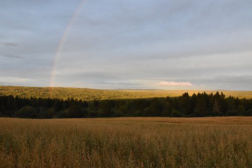 Een regenboog na de storm