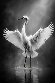 Crane