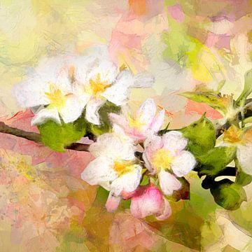 Apfelblüte von Andreas Wemmje