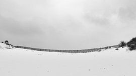Sneeuw in de duinen van Herwin Wielink