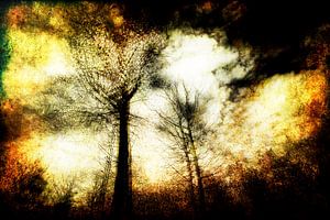 une forêt menaçante