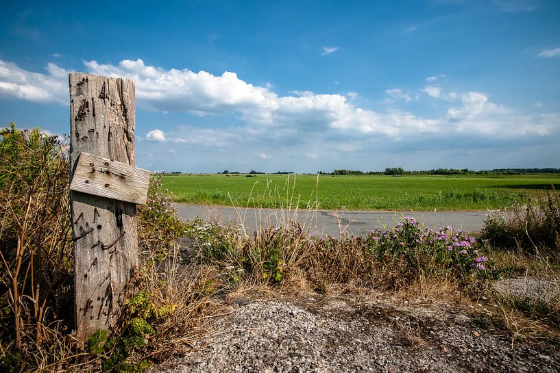 Hollands landschap met weilanden en wolkenlucht van Fotografiecor .nl