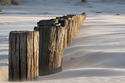 Ameland