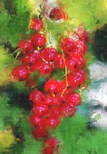 Johannisbeeren rot von Roswitha Lorz